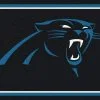 Carolina Panthers Spirit Rug