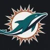 Miami Dolphins Spirit Rug