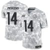 Men's Pittsburgh Steelers #14 George Pickens 2024 F.U.S.E Arctic Camo Salute to Service Limited Stitched Football Jersey - Custom Name